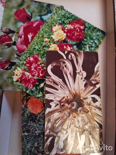 Конверты и открытки СССР