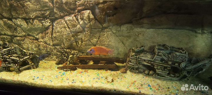 Аквариум 800л