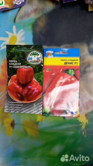 Семена перца