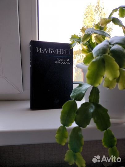 Книги для детей и взрослых