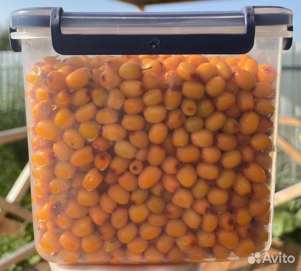 Ягода, Облепиха