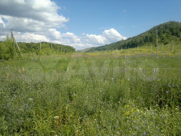 Участок 10 сот. (ИЖС)