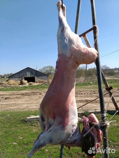 Фермерское мясо / продукты