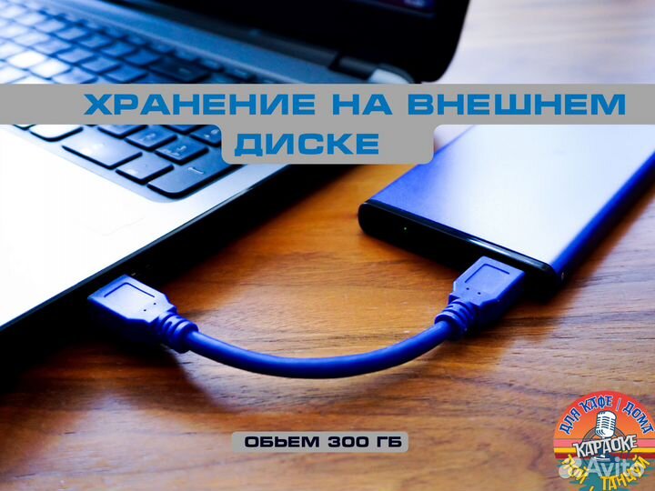 Караоке система 2024. Краснодар