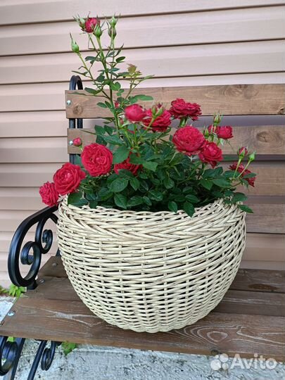 Кашпо для цветов