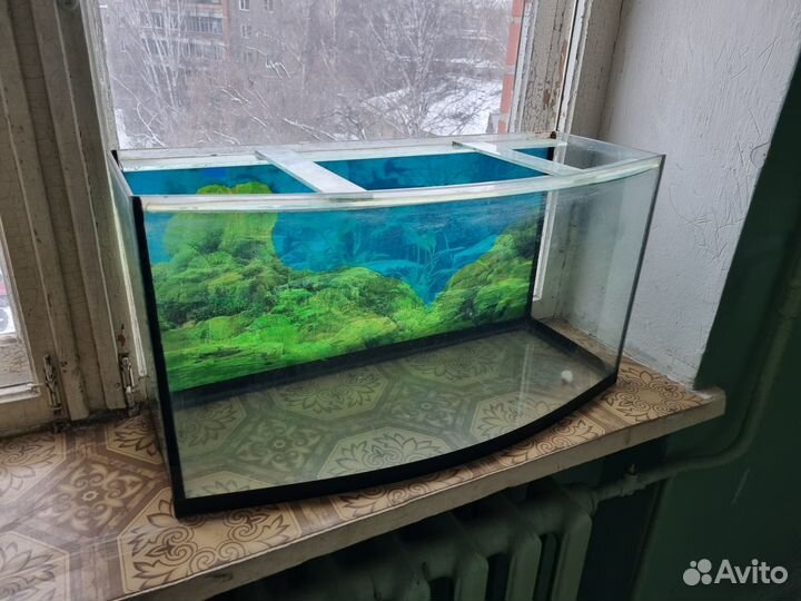 Аквариум