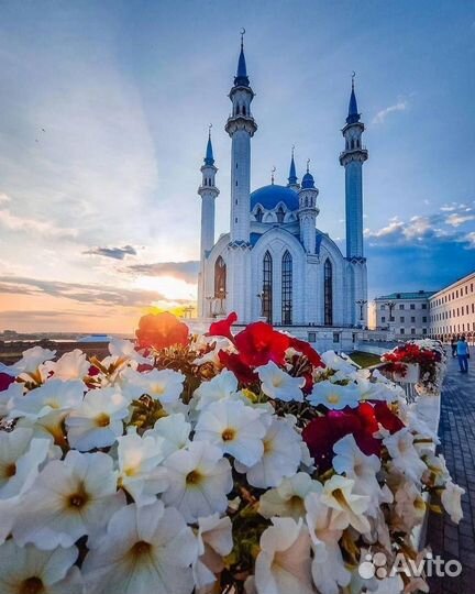 Тур 28.10-29.10 в Казань на автобусе