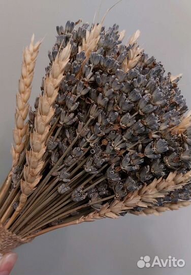 Букет лаванда на все случаи в подарок