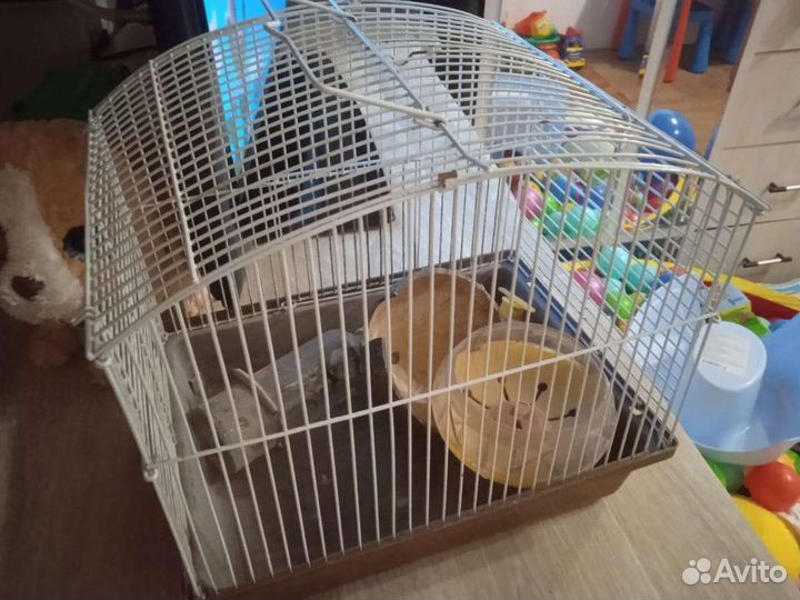 Клетка с аксессуарами