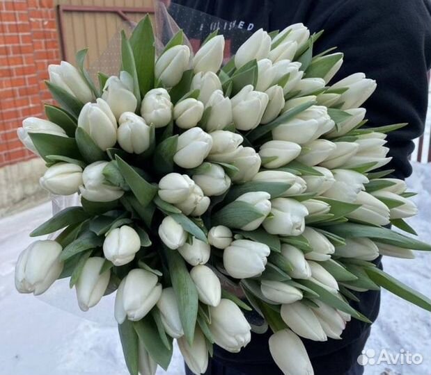 Цветы тюльпаны с доставкой