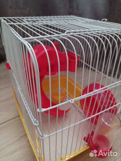 Клетка для джунгарского хомяка