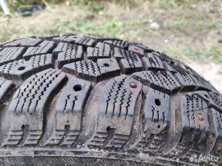 Matador MP 51 Sibir 2 195/65 R15