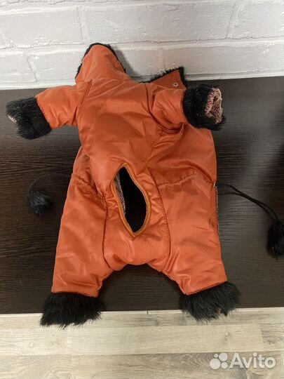 Одежда для собак