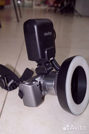 Макро Sony a5R+Sony 30mm/2.8+ кольцевая вспышка