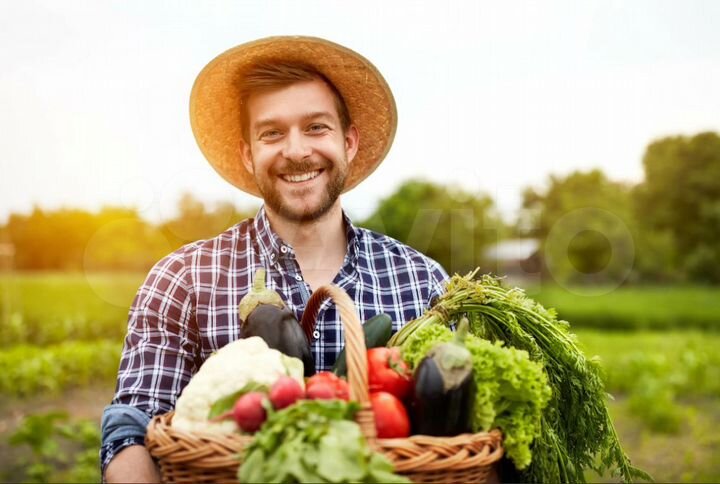 Участок 10 га (СНТ, ДНП)