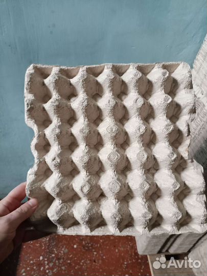 Ячейки для яиц