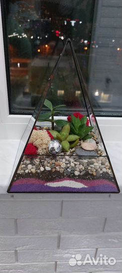 Флорариум с суккулентами
