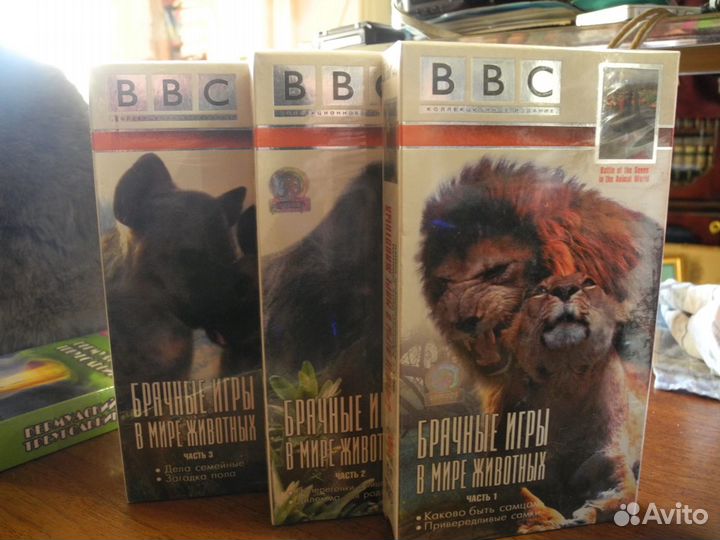 BBC