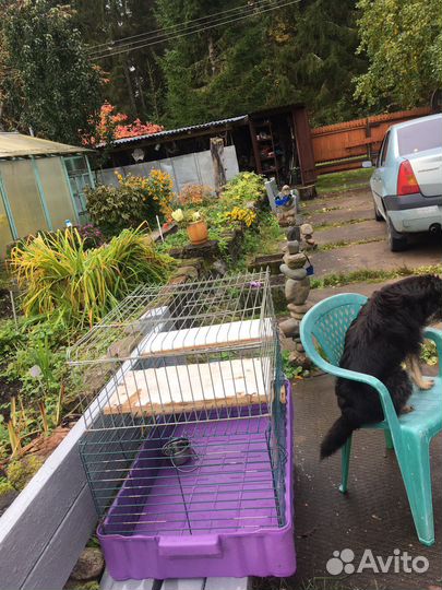 Клетка большая