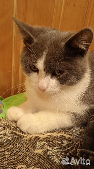 Фима - лучший друг