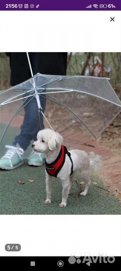 Зонт для собак