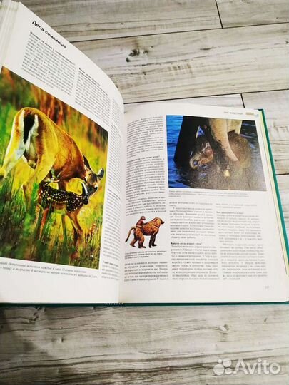 Большая книга Азбука природы Ридерз Дайджест