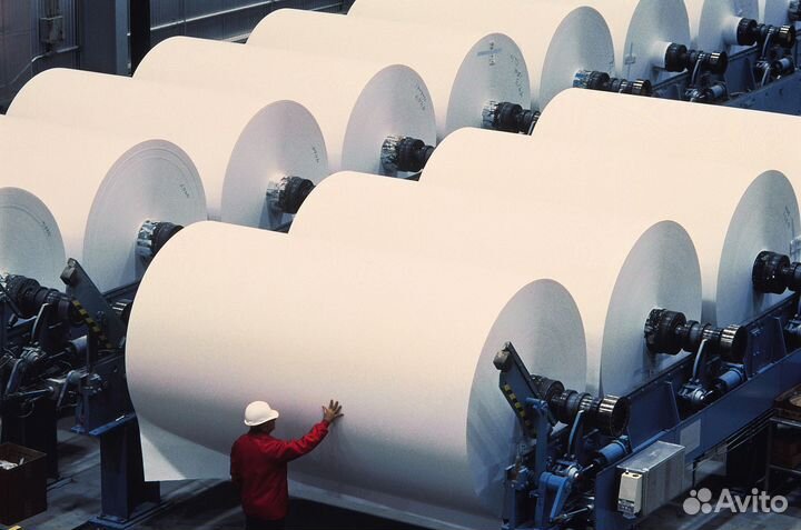 Инвестиции в бумажную фабрику. Гарантии