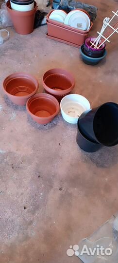 Кашпо горшок для цветов