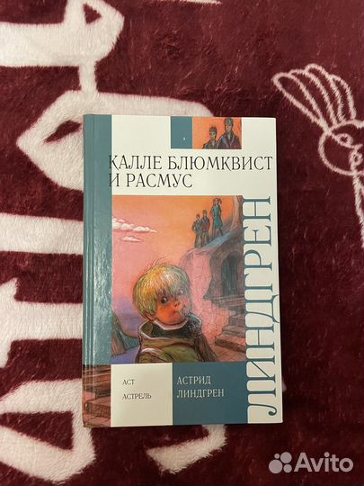 Книга Калле Блюмквист и Расмус