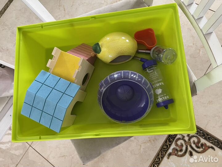 Клетка для джунгарика