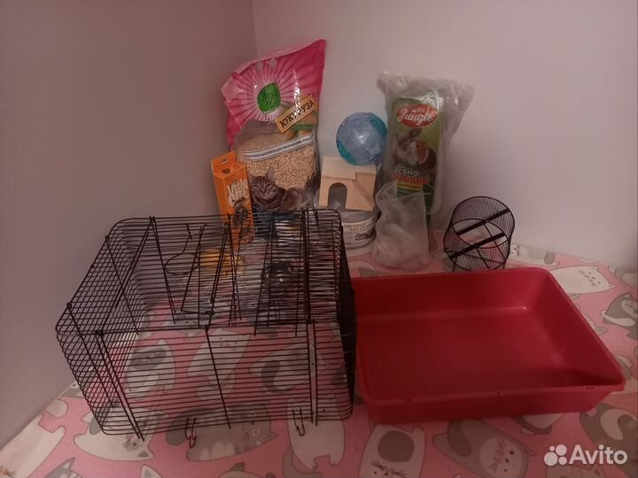 Клетка/набор для грызунов(хомяк/песчанка)