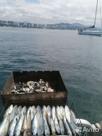 Сочинская рыбалка (эксклюзив)