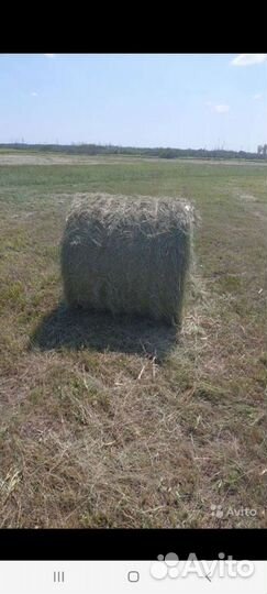 Продам сено в рулонах