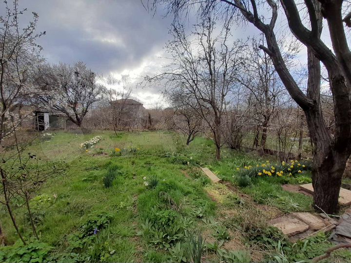 Участок 4 сот. (СНТ, ДНП)