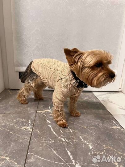 Вязаная кофта для собак мелких пород