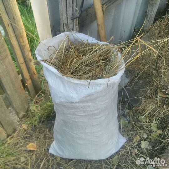 Сено в мешках 2022 года