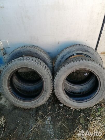 Nokian Tyres Nordman 5 185/65 R15 92T