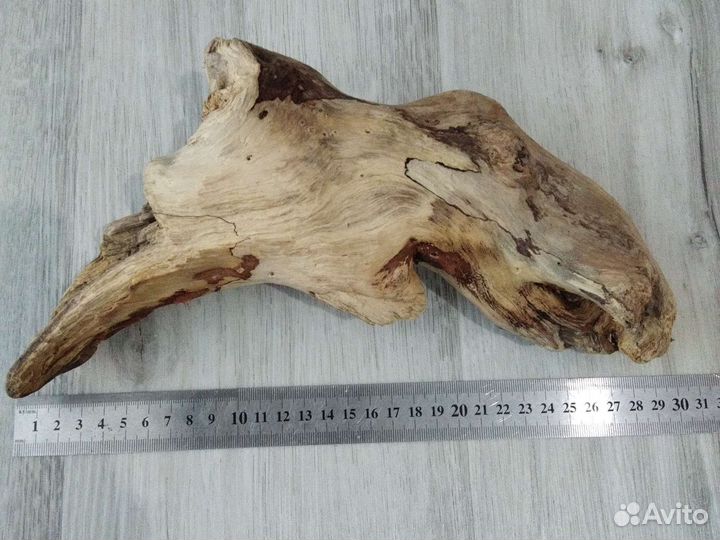 Дрифтвуд коряга морская 28см