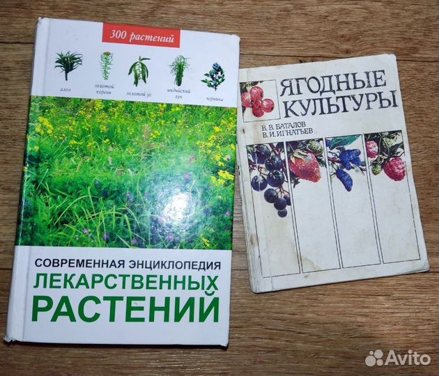 Современная энциклопедия лекарственных растений