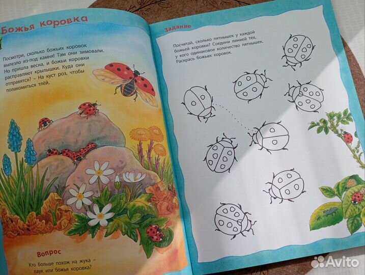 Детская книга 