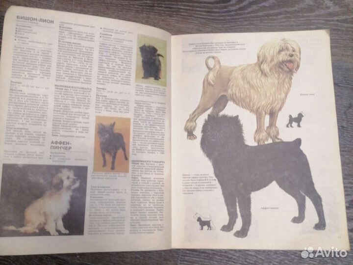 Ваша собака