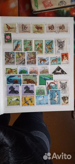 Альбом иностранных марок