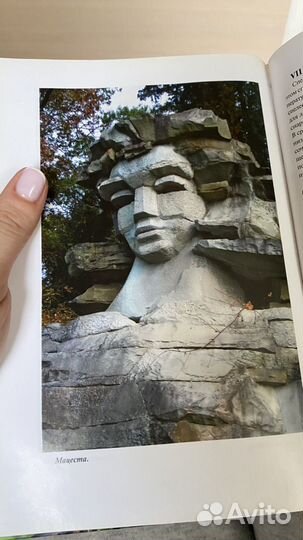 Книга Сочи