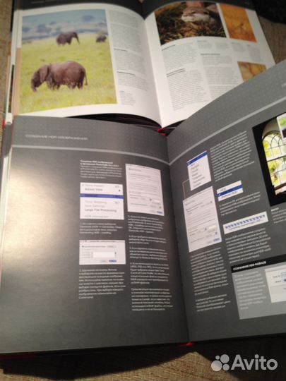 Композиция и экспозиция в цифровой фотосъемке