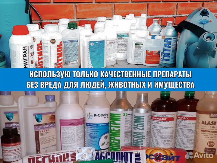 Уничтожение тараканов, клопов, крыс. Дезинфекция