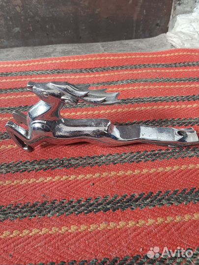 Олень на волгу 21