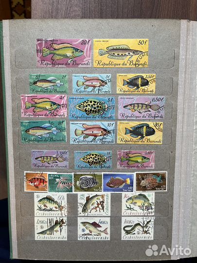 Марки с рыбами. Альбом 20 стр