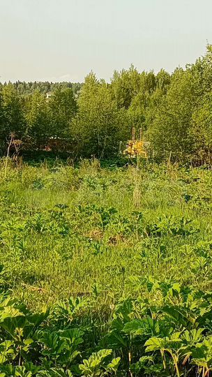 Участок 20 сот. (ИЖС)