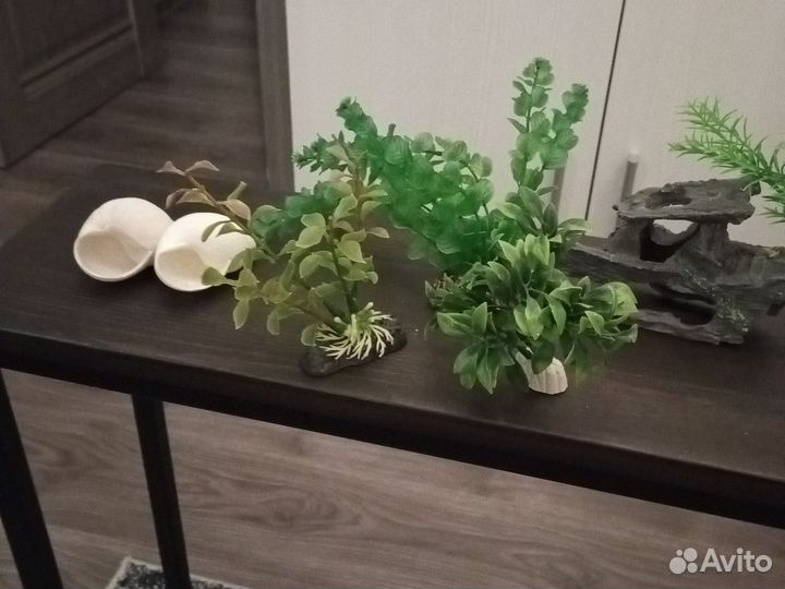 Растения для аквариума и террариума с декорацией