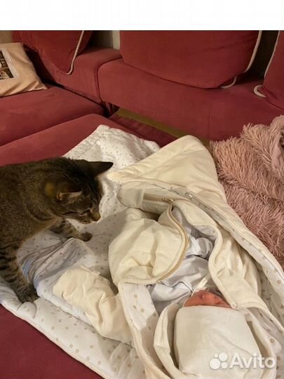 Комплект на выписку зима